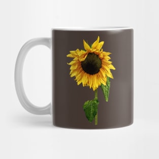 Sunflowers - Sunflower With Peakaboo Bangs Mug